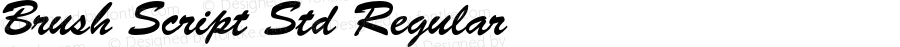 Brush Script Std Regular Version 2.036;PS 002.000;hotconv 1.0.50;makeotf.lib2.0.16970