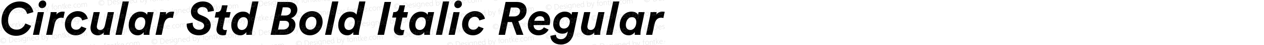 Circular Std Bold Italic Regular