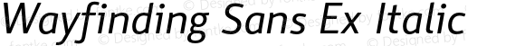 Wayfinding Sans Ex Italic