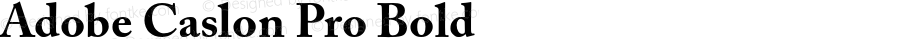 Adobe Caslon Pro Bold