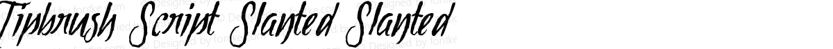 Tipbrush Script Slanted Slanted