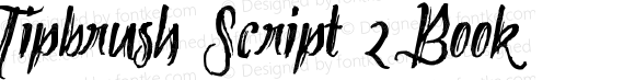 Tipbrush Script 2 Book