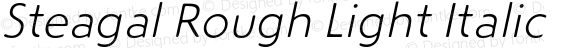 Steagal Rough Light Italic