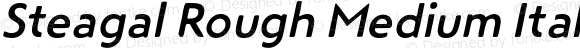 Steagal Rough Medium Italic