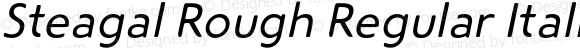 Steagal Rough Regular Italic
