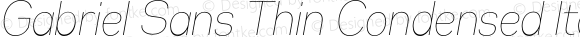 Gabriel Sans Thin Condensed Italic