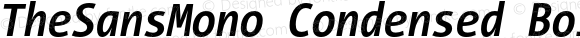 TheSansMono Condensed Bold Italic Version 3.011 | w-rip DC20190625