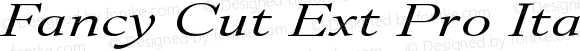 Fancy Cut Ext Pro Italic