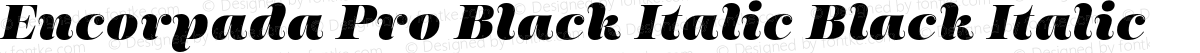 Encorpada Pro Black Italic Black Italic