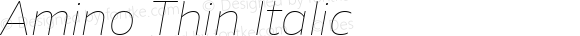 Amino Thin Italic Version 2.01 : 2013;com.myfonts.cadson-demak.amino.thin-italic.wfkit2.41K6