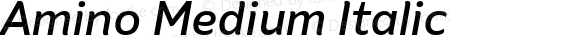 Amino Medium Italic Version 2.01 : 2013;com.myfonts.cadson-demak.amino.medium-italic.wfkit2.41K4