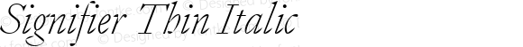 Signifier Thin Italic