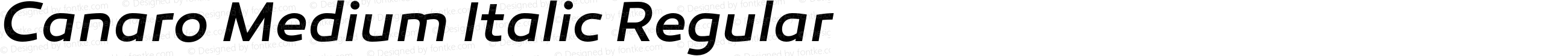 Canaro Medium Italic