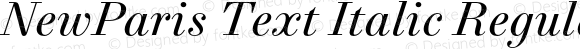 NewParis Text Italic