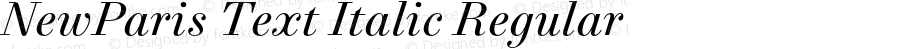 NewParis Text Italic Regular