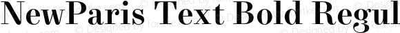 NewParis Text Bold Regular