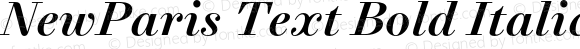 NewParis Text Bold Italic