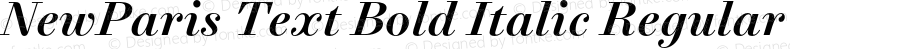 NewParis Text Bold Italic