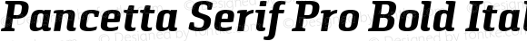 Pancetta Serif Pro Bold Italic