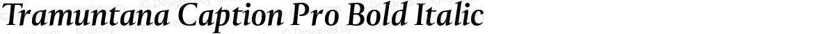 Tramuntana Caption Pro Bold Italic