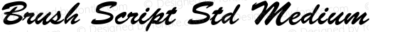 Brush Script Std Medium