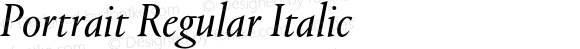 Portrait Regular Italic
