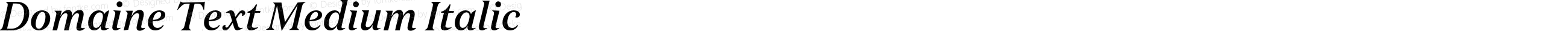Domaine Text Medium Italic