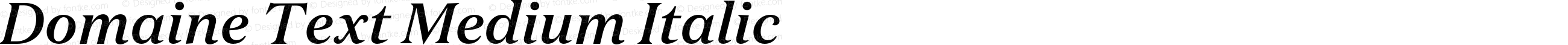 Domaine Text Medium Italic