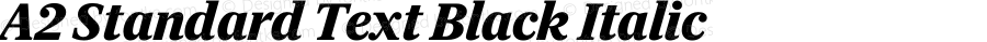 A2 Standard Text Black Italic