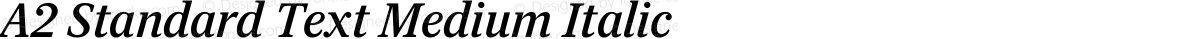 A2 Standard Text Medium Italic