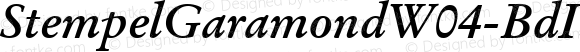 Stempel Garamond W04 Bd Italic