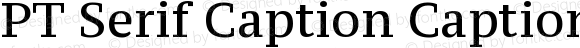 PT Serif Caption Caption
