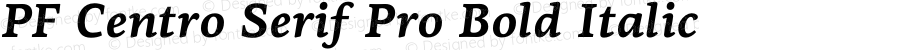 PF Centro Serif Pro Bold Italic