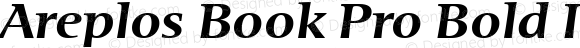 Areplos Book Pro Bold Italic