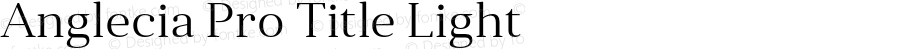 Anglecia Pro Title Light Version 001.000;com.myfonts.konstantynov.anglecia-pro.title-light.wfkit2.47MM
