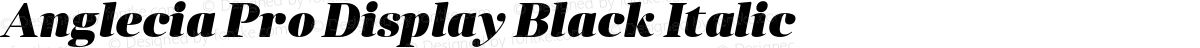 Anglecia Pro Display Black Italic