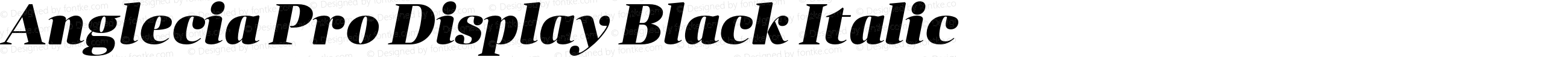 Anglecia Pro Display Black Italic