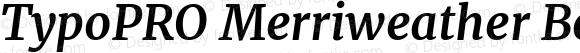 TypoPRO Merriweather Bold Italic