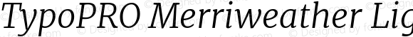 TypoPRO Merriweather Light Italic