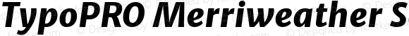 TypoPRO Merriweather Sans ExtraBold Italic