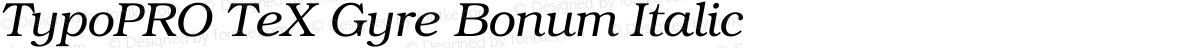 TypoPRO TeX Gyre Bonum Italic