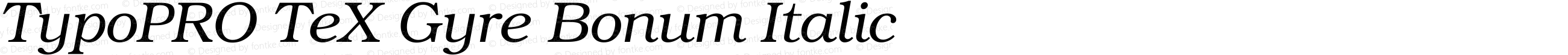 TypoPRO TeX Gyre Bonum Italic