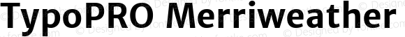 TypoPRO Merriweather Sans Bold