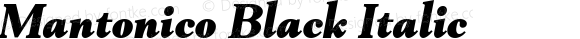 Mantonico Black Italic