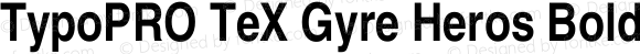 TypoPRO TeX Gyre Heros Bold