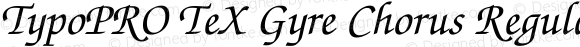 TypoPRO TeX Gyre Chorus Regular