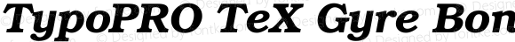 TypoPRO TeX Gyre Bonum Bold Italic