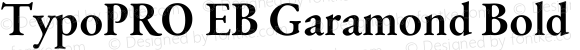 TypoPRO EB Garamond Bold