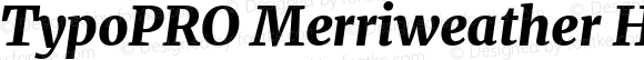 TypoPRO Merriweather Heavy Italic