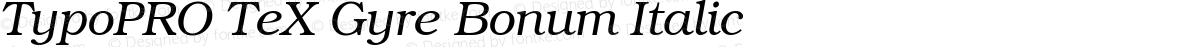 TypoPRO TeX Gyre Bonum Italic